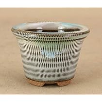 51H5+cdqLtL._AC_UL210_SR210,